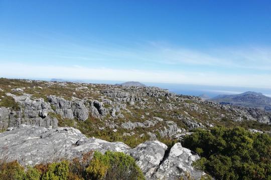 South Africa’s tourism sector forecasted to contribute ZAR 911.7bn to economy: WTTC