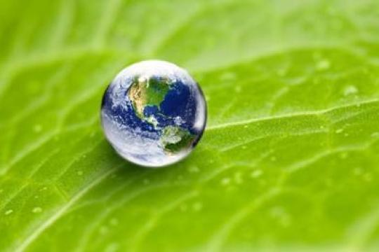 SITA To Be Carbon Neutral By or Before 2022