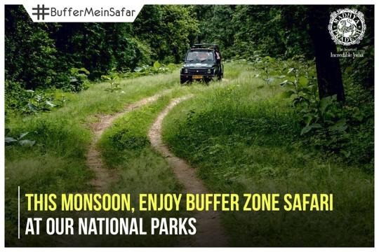 Madhya Pradesh flaunts its wildlife in monsoon #BufferMeinSafar