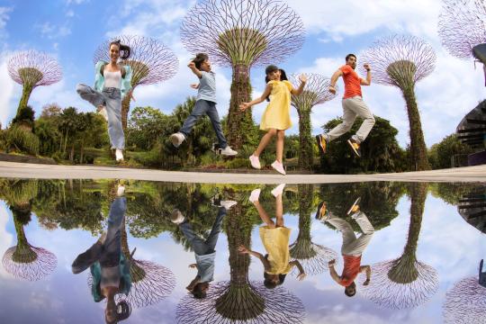 Singapore seeks to boost ties with Indian travel trade from four key cities