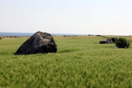 KTO, Cox & Kings and Femina Miss India winners to promote Korea in India