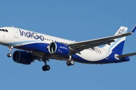 IndiGo Resumes International Operations Schedule with Flights on 150+ Routes