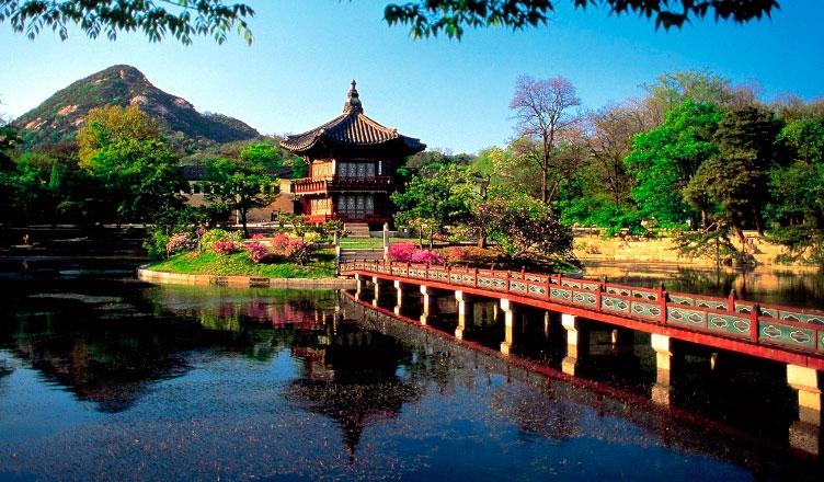 South Korea witness 47.9% surge in Indian arrivals