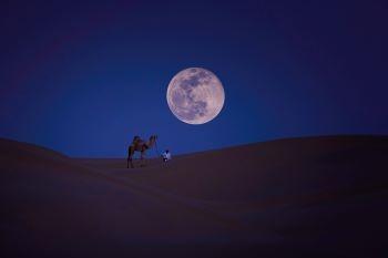 Qatar Launches Astro-Tourism Experiences