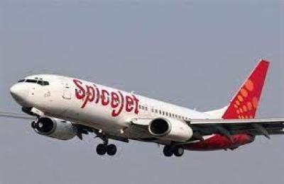 SpiceJet Launches Online Visa Service