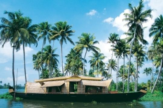 Kerala to launch promotional campaign for domestic market
