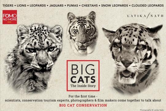 FOMONOMORE To Launch ‘Big Cats: The Inside Story’ Series From Aug 10