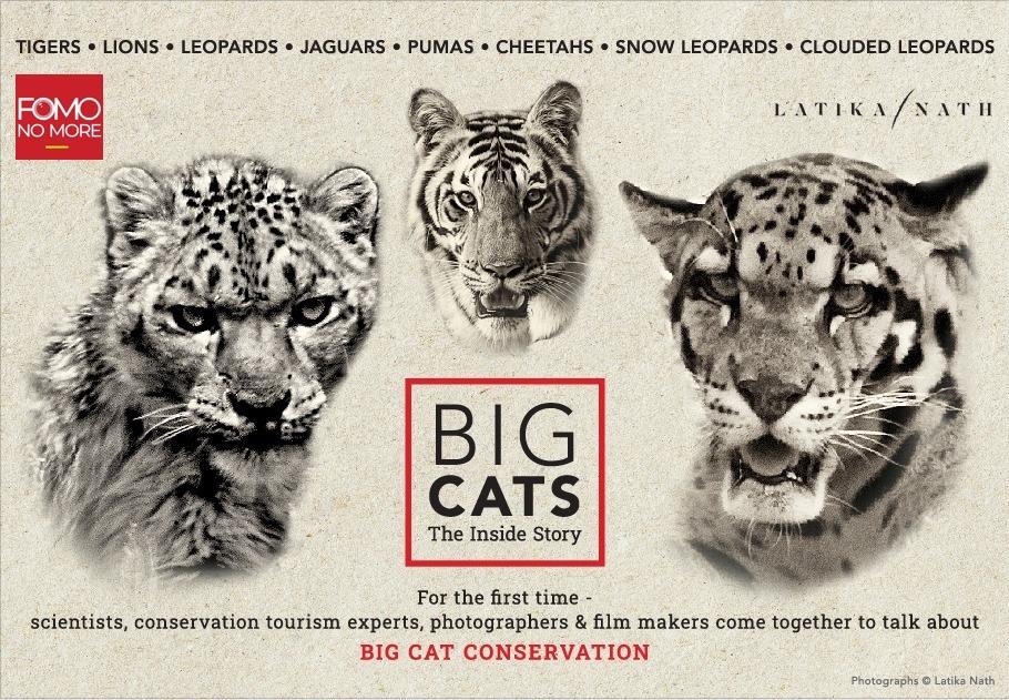 FOMONOMORE To Launch ‘Big Cats: The Inside Story’ Series From Aug 10