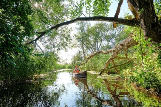 Germany ranks No. 1 in the NBI for fifth consecutive time