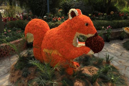 35th Garden Tourism Festival Concludes in Delhi