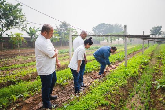 Hyatt launches Hyatt Loves Local initiative