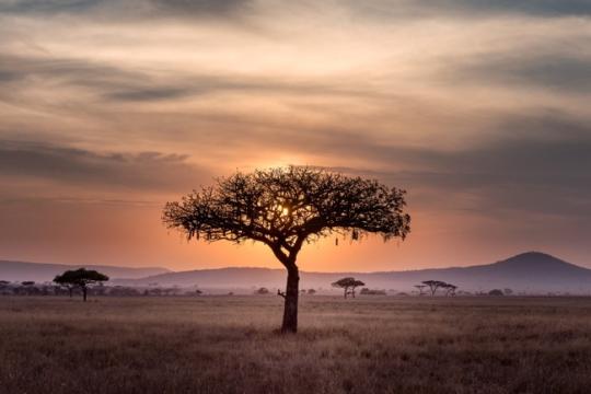 IHG partners with Valor Hospitality for Africa expansion