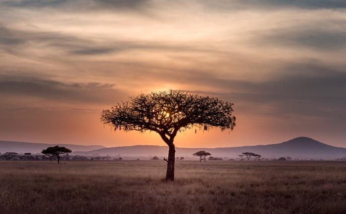 IHG partners with Valor Hospitality for Africa expansion