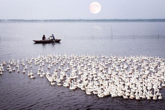 Blue Square Consultants to represent Shandong Tourism in India