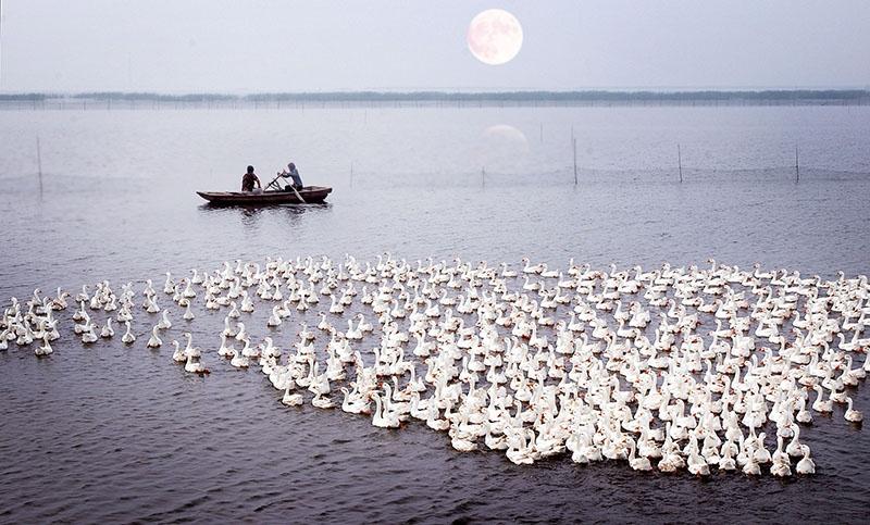 Blue Square Consultants to represent Shandong Tourism in India