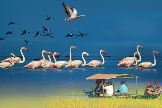 Active coordination among states imperative for tourism revival: Panigrahi