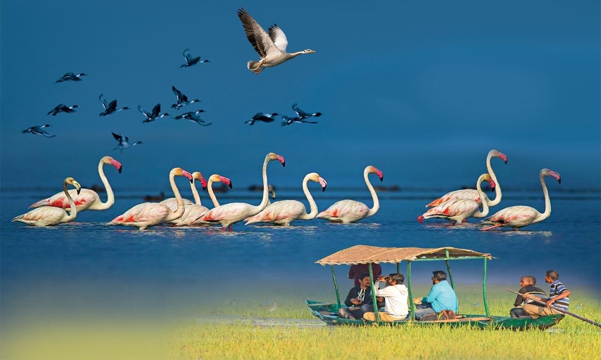 Active coordination among states imperative for tourism revival: Panigrahi