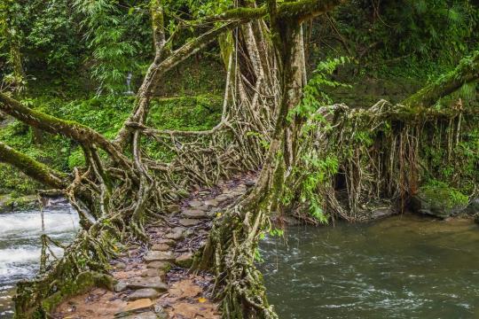 Domestic Tourism 2.0