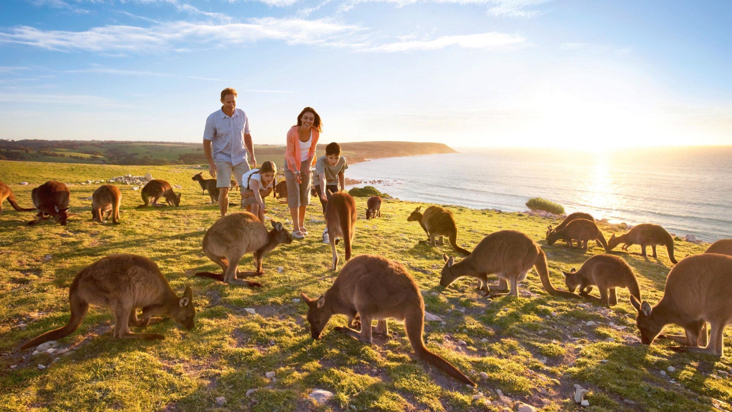 Indians amongst top 5 spenders in South Australia
