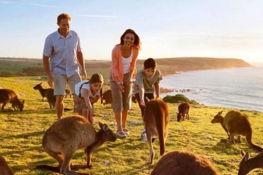 India: Fastest growing market for Australia