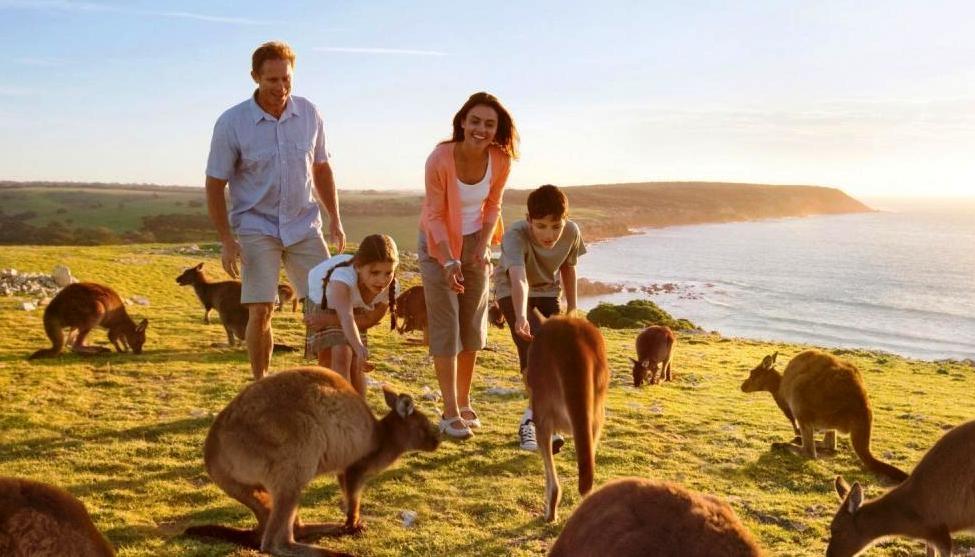India: Fastest growing market for Australia