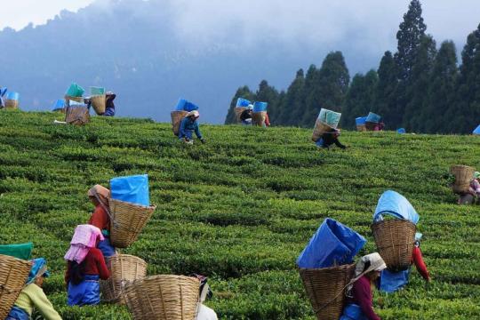 Assam woos private investment