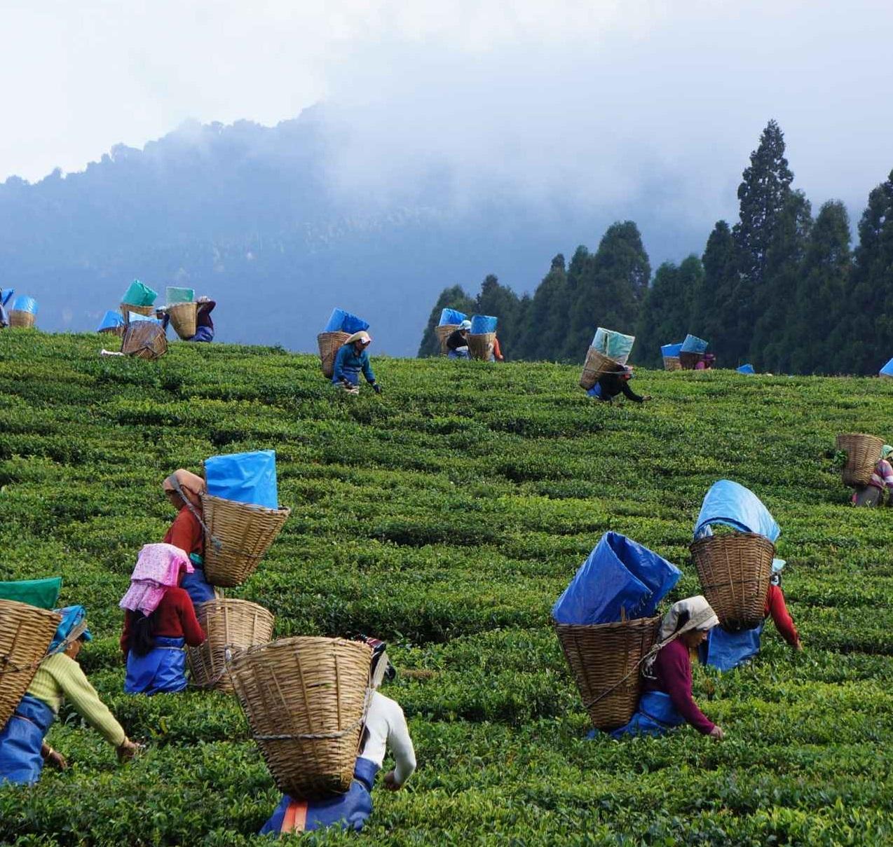 Assam woos private investment