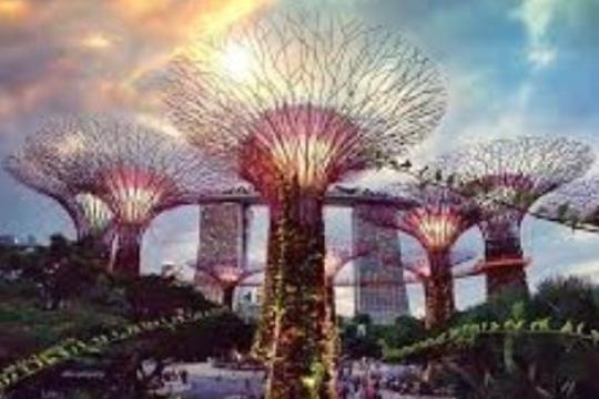 Singapore Tourism partners welcome Vistara’s inaugural flights