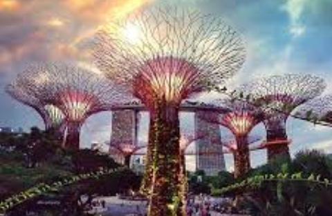 Singapore Tourism partners welcome Vistara’s inaugural flights