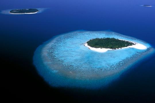 MMPRC signs Think Strawberries as India Representative