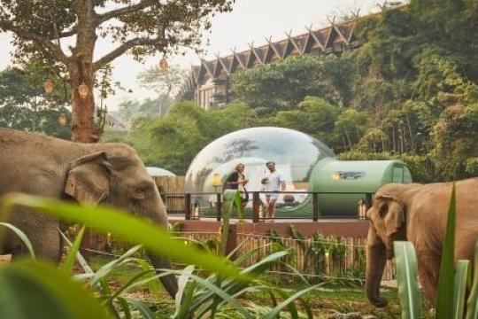 Hotel Players Build Inclusive Sustainability Framework