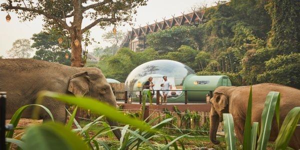 Hotel Players Build Inclusive Sustainability Framework