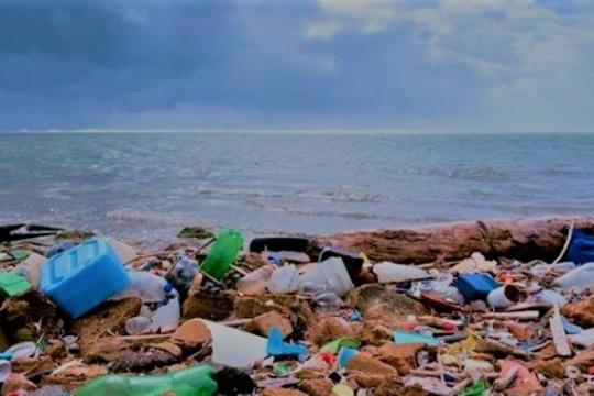 ‘Include Tourism as a Separate Industry in the Draft EIA Notification 2020’: EQUATIONS