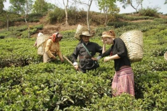 It is crucial to link agriculture and tourism, says Aditya Thackeray