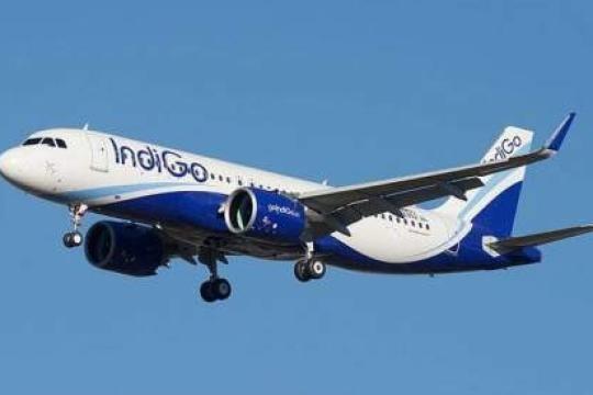 IndiGo Q4 net up at Rs 589 cr
