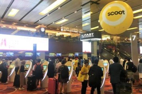 Scoot Scoots Successfully into Terminal 1