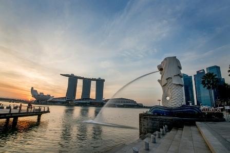 STB Achieves Record Performance in 2016