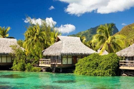 Vietnam keen to increase numbers from India