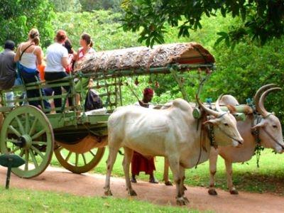 Ministry Invites Feedback on the Draft National Strategy and Roadmap for Development of Rural Tourism