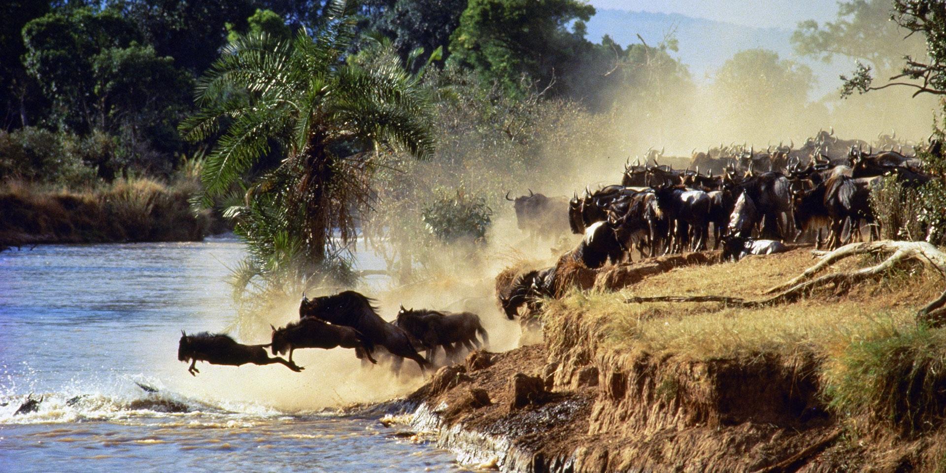 Kenya eyes film tourism from India