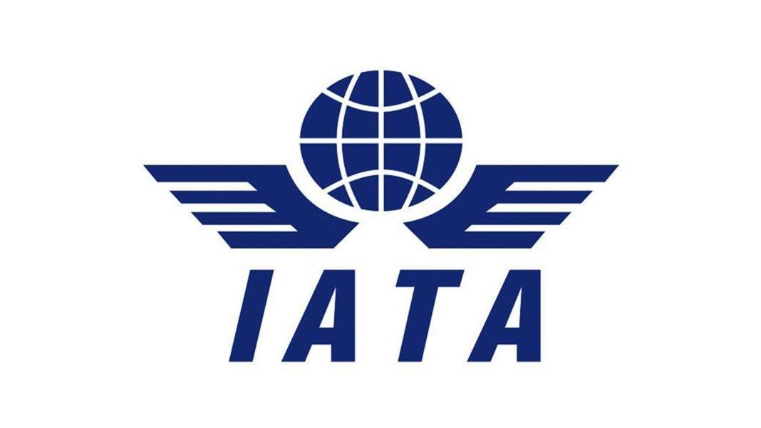Global air passenger traffic witness slowdown in 2019