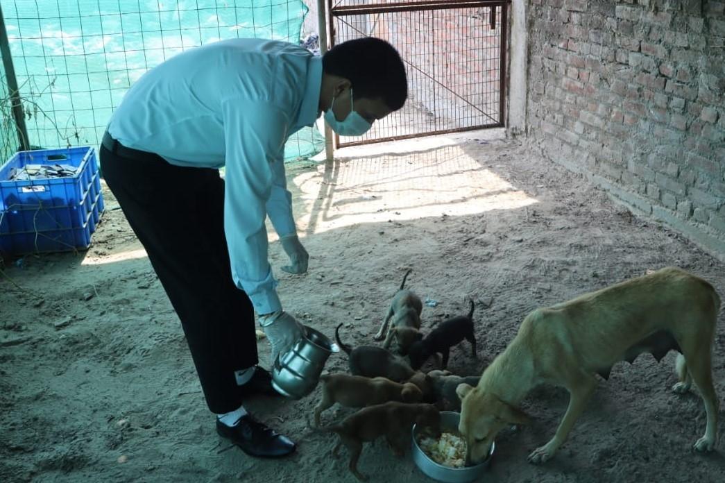 Amatra Hotels Helps Stranded Animals and People