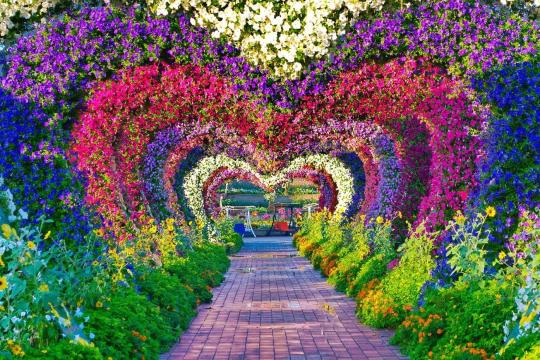 Dubai Miracle Garden set to welcome visitors