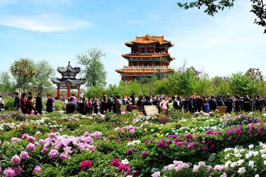 Blue Square to represent Shandong Tourism in India