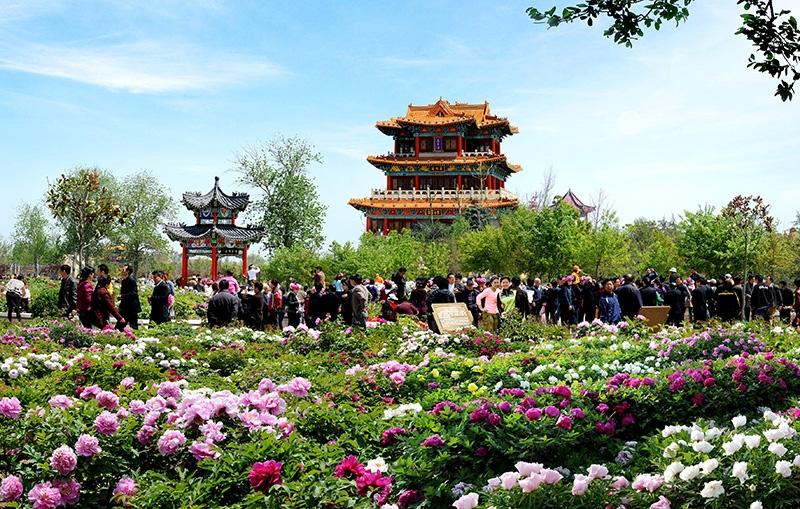 Blue Square to represent Shandong Tourism in India