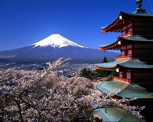 Japan witnesses double digit growth from India