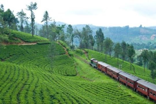 Sri Lanka Tourism Hosts 3-city Roadshow in India