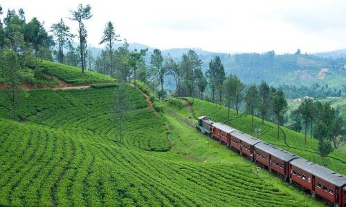 Sri Lanka Tourism Hosts 3-city Roadshow in India