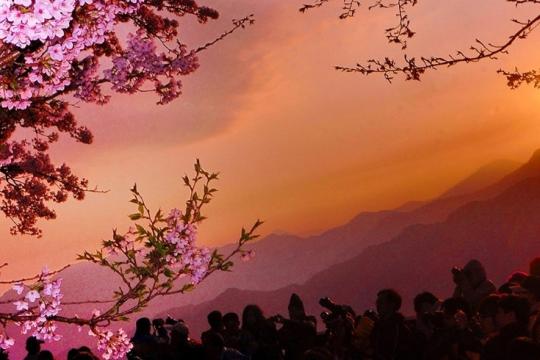 Taiwan Aims to Create Travel Bubbles within Asia Pacific