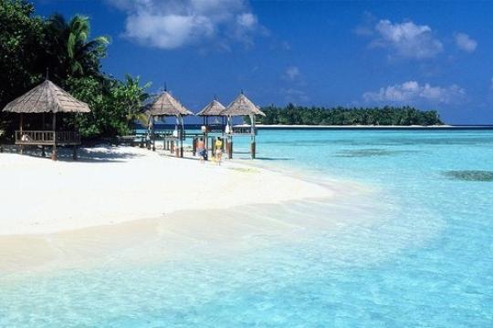 Trac bags Maldives account